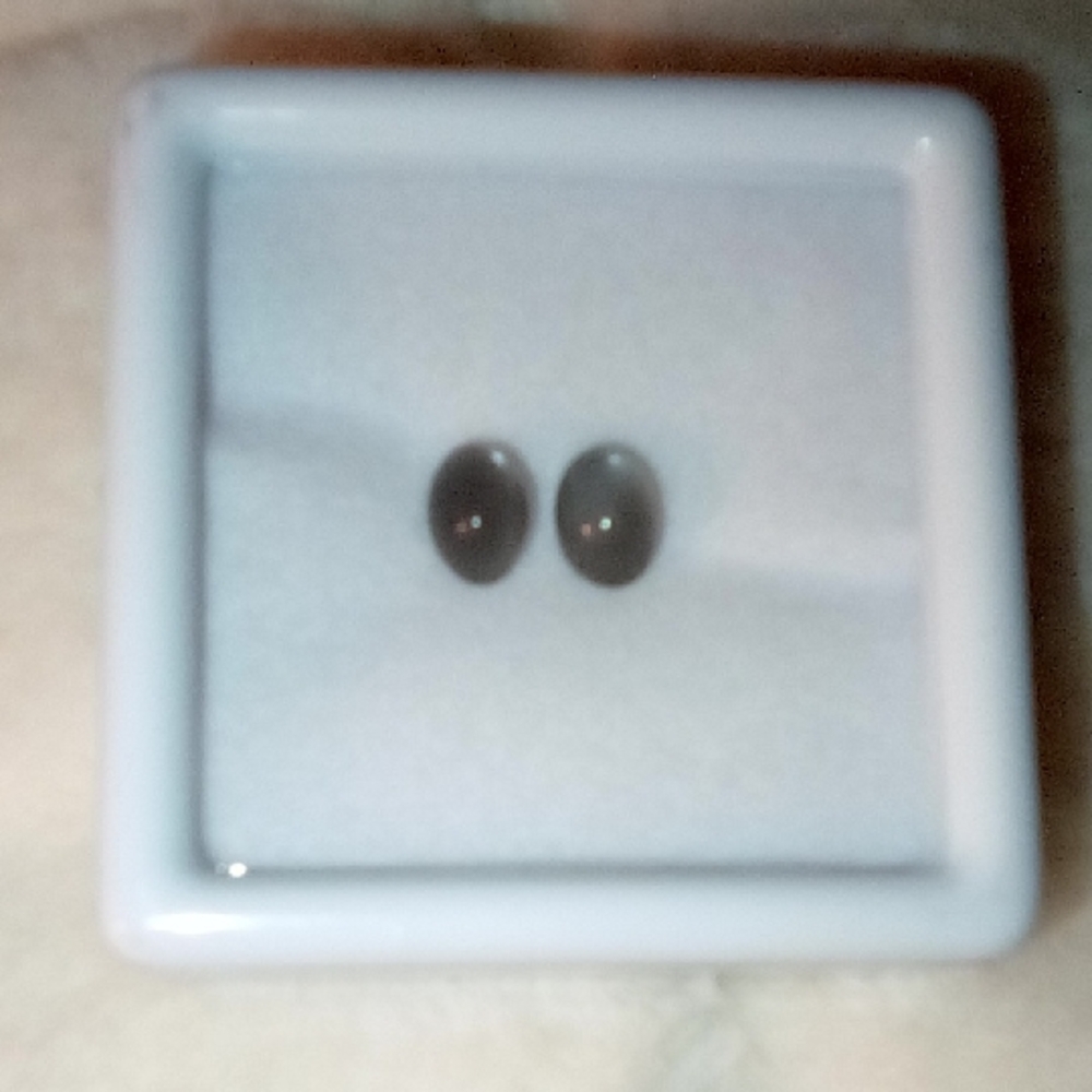Black Oval Stud Earrings